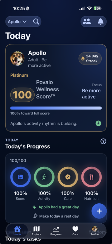 Povalo app Today screen showing Apollo's Povalo Wellness Score and daily progress rings
