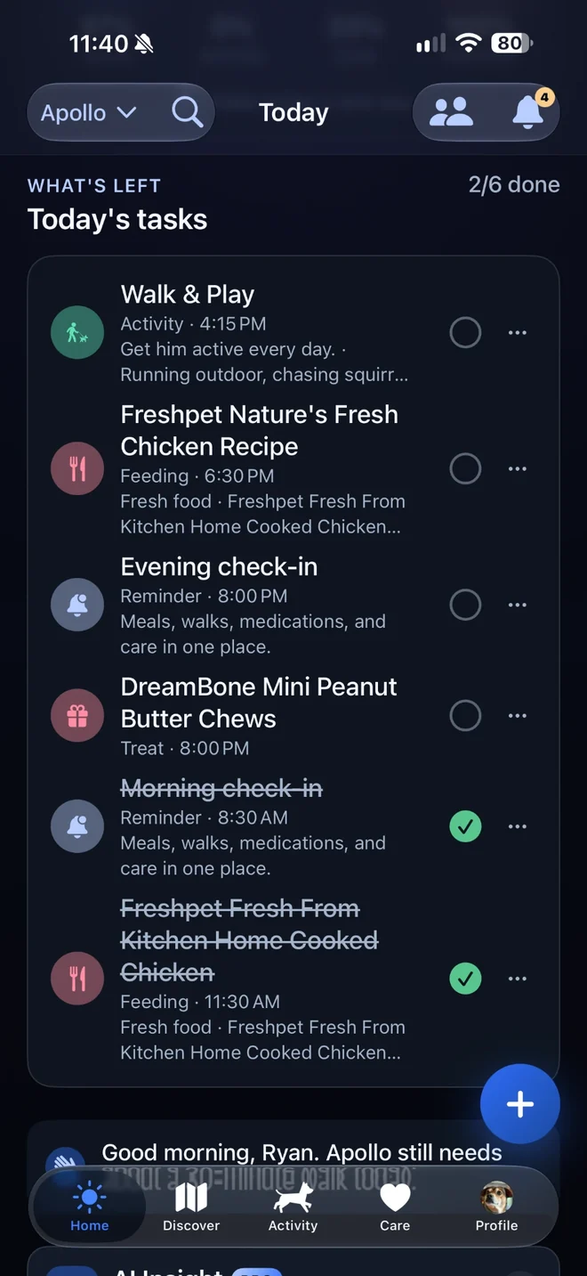 Povalo Today's tasks list with walks, meals, and check-ins, some already checked off