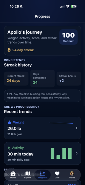 Povalo Progress screen showing streak history and recent trends